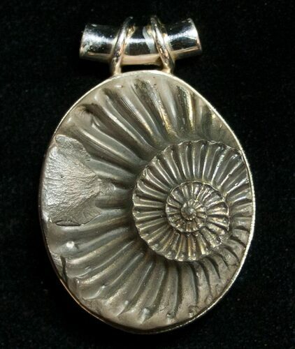 Pyrite Ammonite Pendant - Sterling Silver #8507